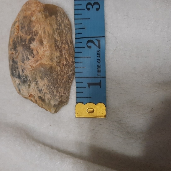 Petrified wood (fossilized wood) - Picture 6 of 7